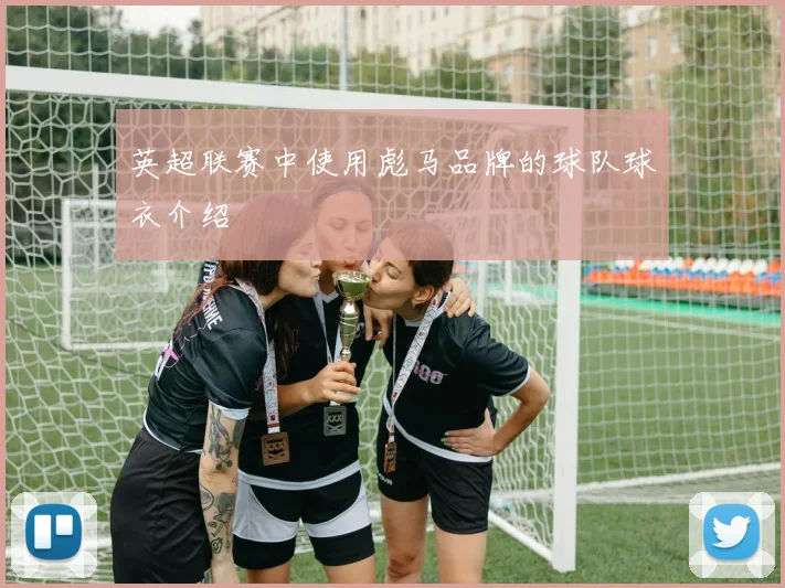 英超联赛中使用彪马品牌的球队球衣介绍