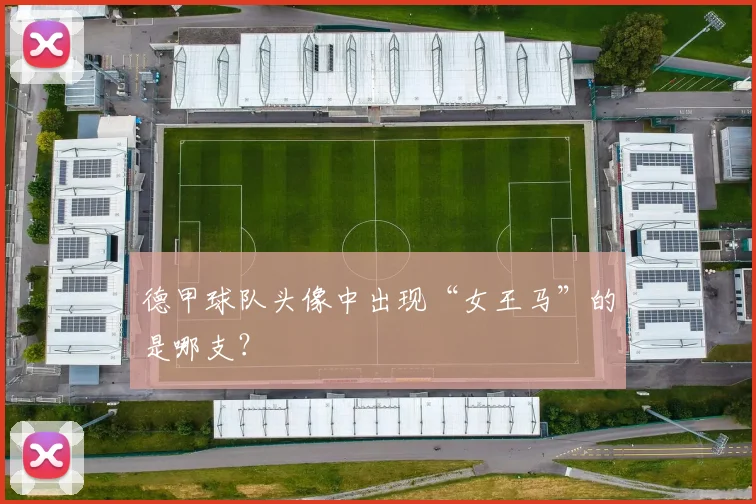 德甲球队头像中出现“女王马”的是哪支？