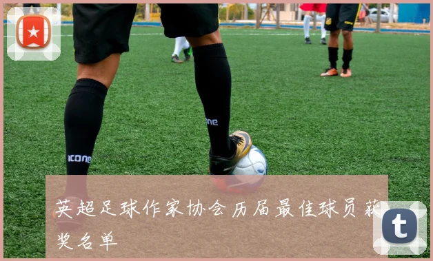 英超足球作家协会历届最佳球员获奖名单