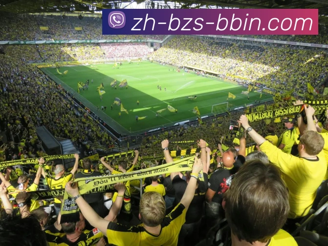 bbin宝盈服务体系